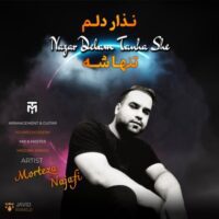 دانلود آهنگ مرتضی نجفی نزار دلم تنهاشه